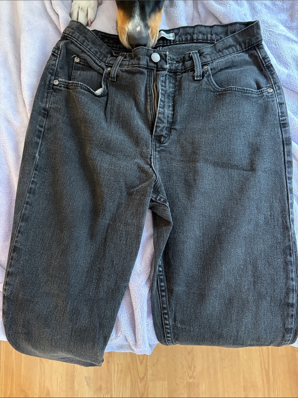 Lee Jeans